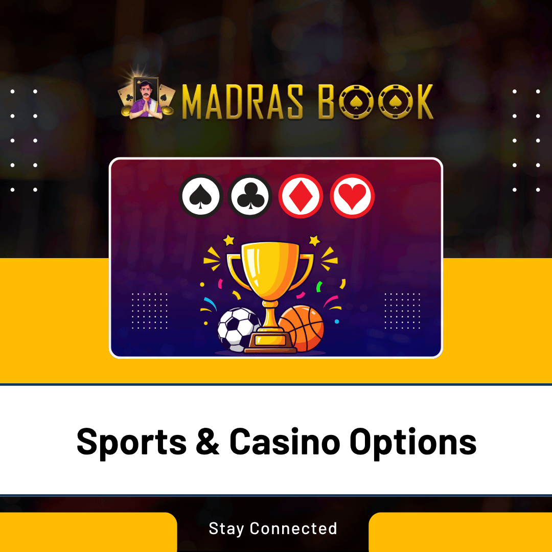 Sports Casino Options
